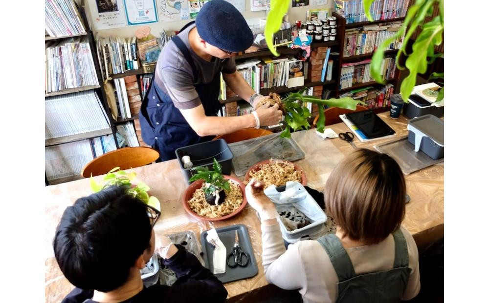 
            360度楽しめる！吊るせる観葉植物「ハングボール」作りワークショップ
          