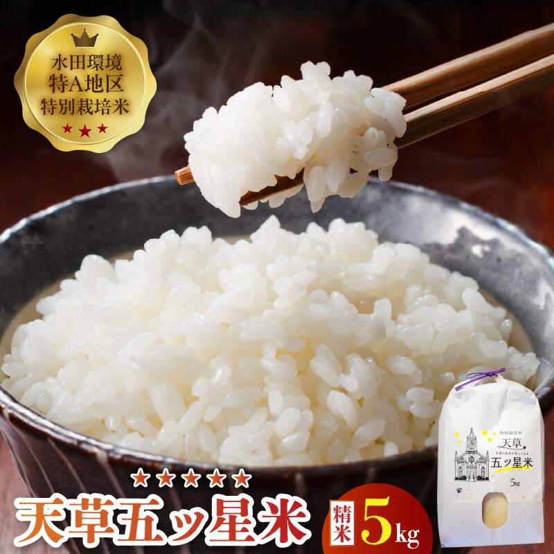 【ふるさと納税】米 お米 5kg 特別栽培 令和7年産 1袋 天草五ッ星米 コシヒカリ わさもん うるち米 食味値90点以上の高評価 白米 精米 ふっくら 粘りのある炊き上がり 甘み 九州 熊本 天草市 お取り寄せ グルメ お土産 水田環境特A地区で栽培 食品 送料無料