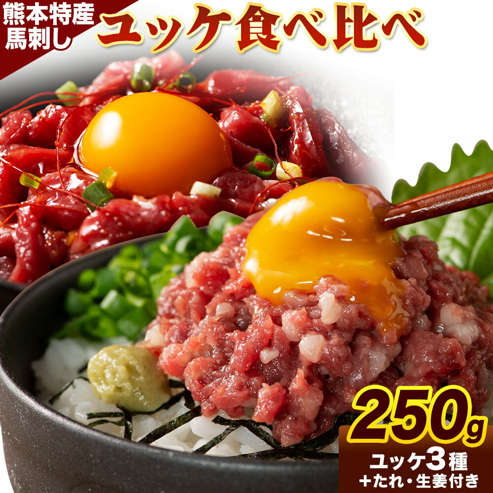 【ふるさと納税】熊本 特産 馬刺し ユッケ 食べ比べ セット 250g ふじ馬刺し 国産馬刺し《30日以内に出荷予定（土日祝除く）》 熊本県 長洲町 くまもと黒毛和牛 黒毛和牛 冷凍 馬肉 馬刺し 馬 ユッケ ネギトロ たれ 生姜付き 送料無料 富士商株式会社