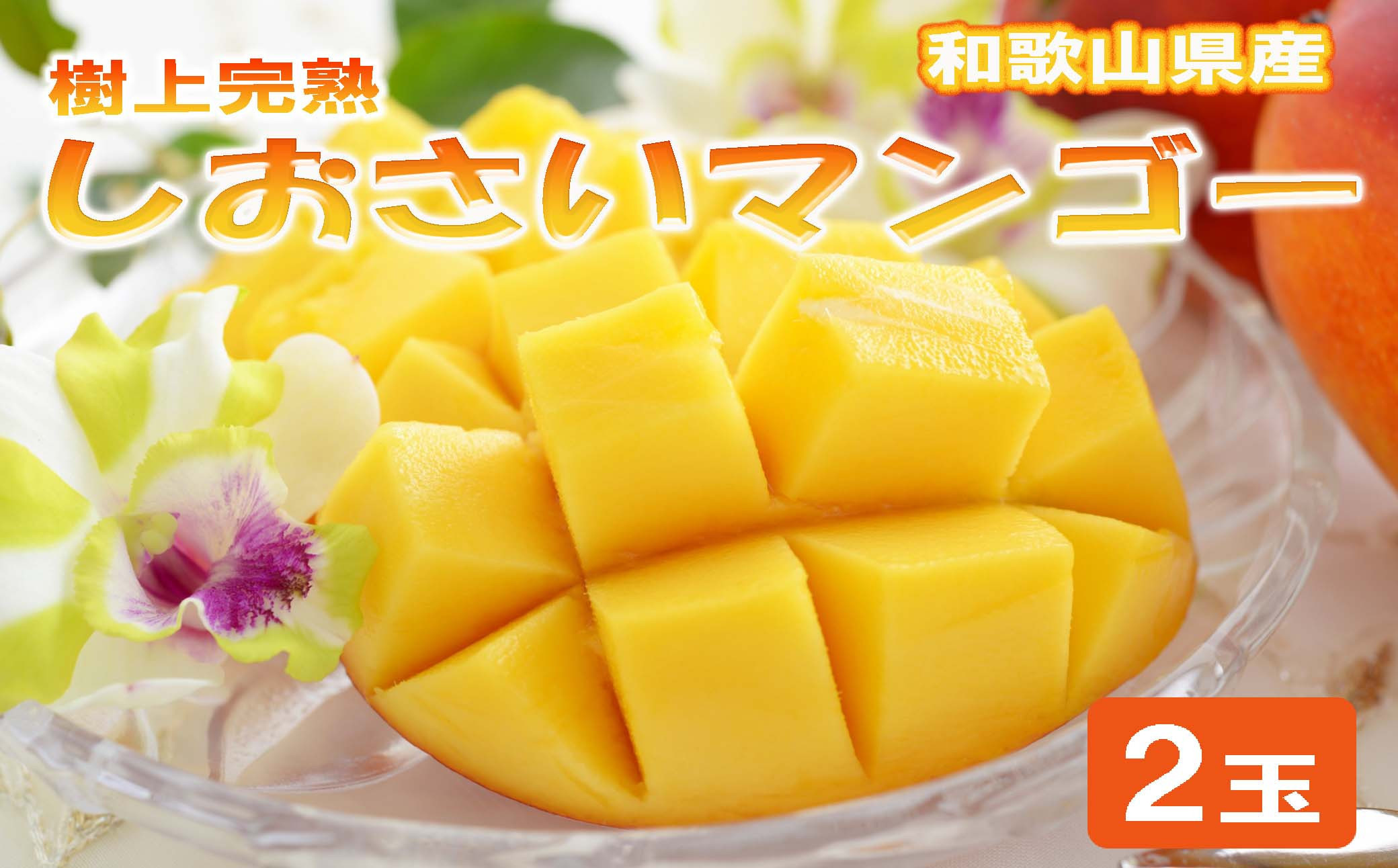 和歌山県産 樹上完熟しおさいマンゴー 2玉入り★2025年７月末頃より順次発送