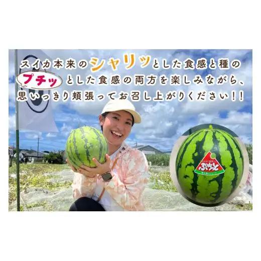 タネまで食べられる？！ タネまで美味しいスイカ「ぷちっと」約6kg（2玉） (CI002)