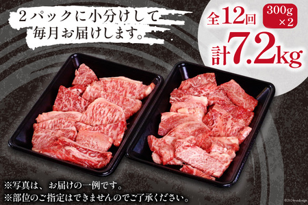 牛肉 訳あり 12回 定期便 宮崎和牛 切り落とし 焼肉 600g ×12回 総計 7.2kg
