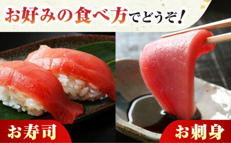 対馬産 本マグロ 1尾 計30~40kg [WAH005] マグロ まぐろ 本マグロ 1本 トロ 中トロ 大トロ 大とろ カマ 