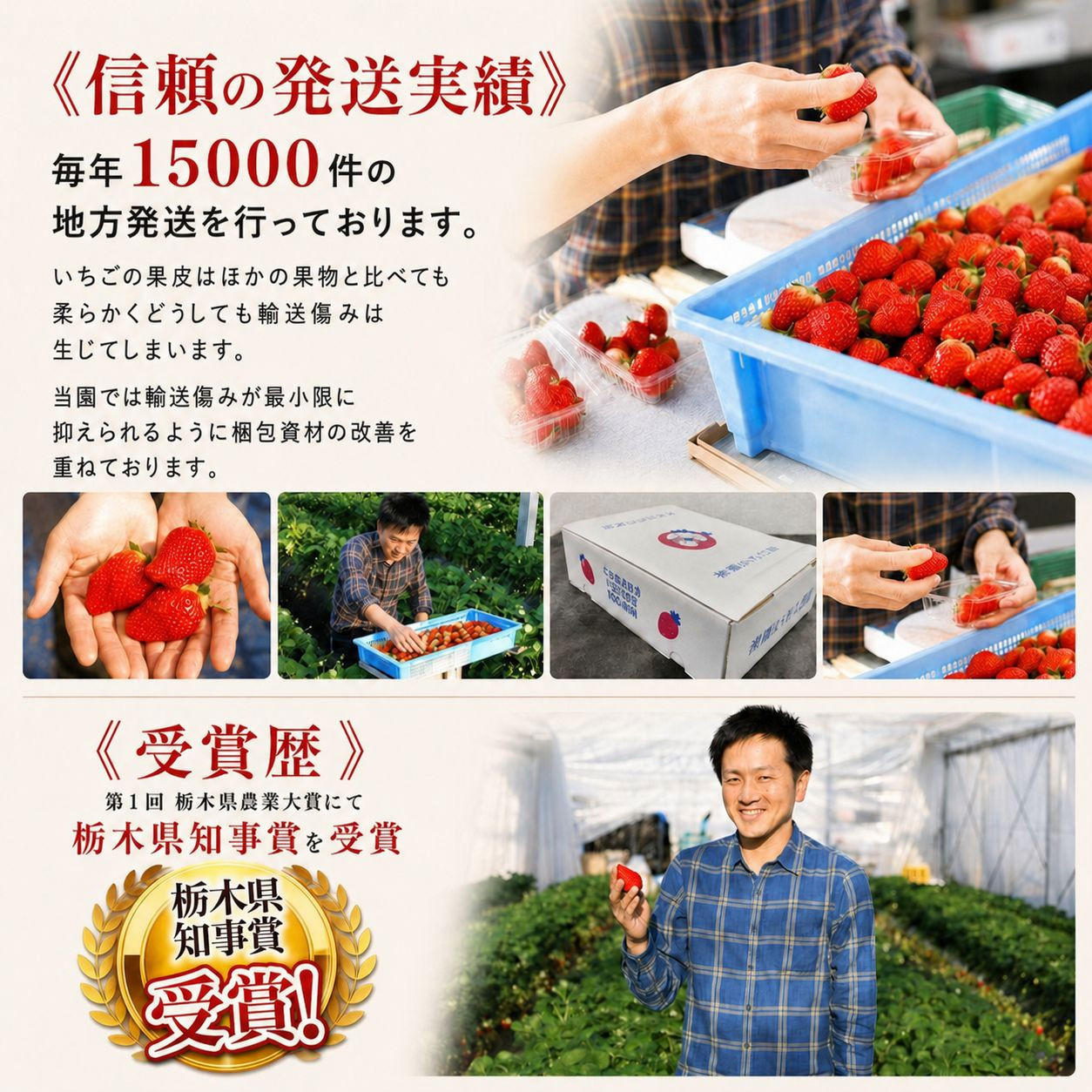 【定期便2回】栃木のいちご！元祖 「とちおとめ」 1,120g (280g×4P)| 澳原いちご農園 栃木県 矢板市 【定期便2回】とちおとめ4P｜20000円