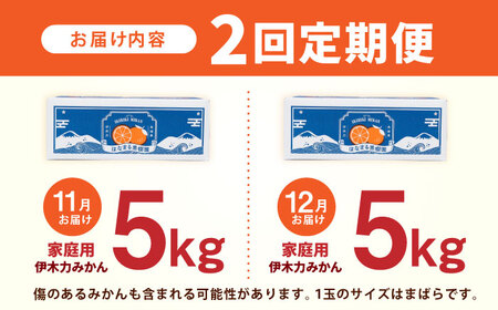 【2回定期便】※【11月より発送／先行予約】 伊木力みかん (家庭用) 5kg / みかん ミカン 蜜柑 柑橘 フルーツ ふるーつ 果物 くだもの / 諫早市 / 山野果樹園[AHCF008]