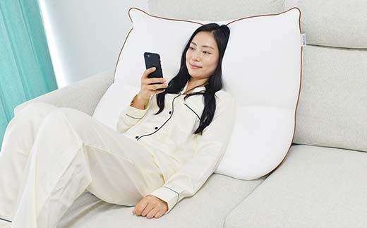 空間 fit の夢まくら リラックス（カバー：ブルー） F21E-295