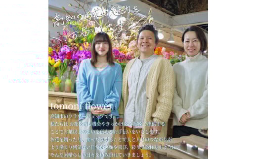 《6ヵ月定期便》季節の生花カラーバスケットフラワーM カラーバスケット 紙バンドバスケット フラワーバスケット 季節 手作り ブルースター トルコギキョウ お取り寄せ 生花 プレゼント 贈り物_イメー