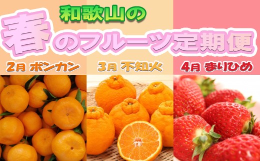 定期便 全3回 【2月・3月・4月発送】和歌山の春のフルーツ（ポンカン・不知火・まりひめ）［TM259］