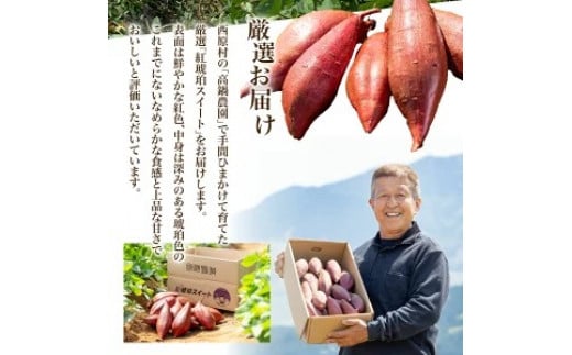 サイズが選べる 西原村産 紅琥珀スイートⓇ(シルクスイート) 約3kg箱