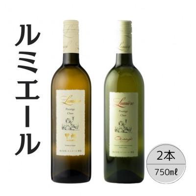 ふるさと納税 笛吹市 ルミエール　プレステージクラス　オランジェ・甲州　計2本セット 167-117