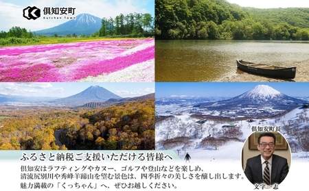 【ふるなびWEEK対象】【 訳アリ 】 馬鈴薯 約 10kg 男爵 リストファーム サイズ 混合 馬鈴薯 芋 ポテト イモ 産地直送 野菜 FN-Limited