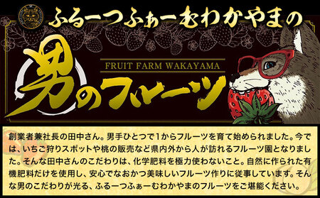 和歌山県の桃 3玉 手提げ袋入り もも 株式会社ふるーつふぁーむわかやま 《7月上旬-8月中旬頃出荷》 和歌山県 紀の川市
