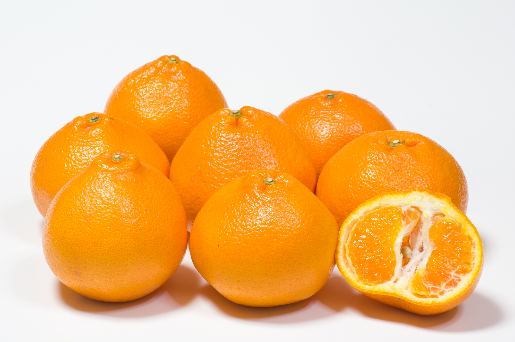 【先行予約・年明け配送】令和8年1月から出荷開始 / 荒木一番みかん約3kg_2305R-2