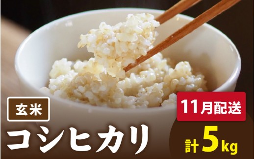【先行予約】【 令和8年産　新米 】 有機JAS認証 オーガニックコシヒカリ 玄米 5kg×1袋（計5kg）《2026年11月発送》