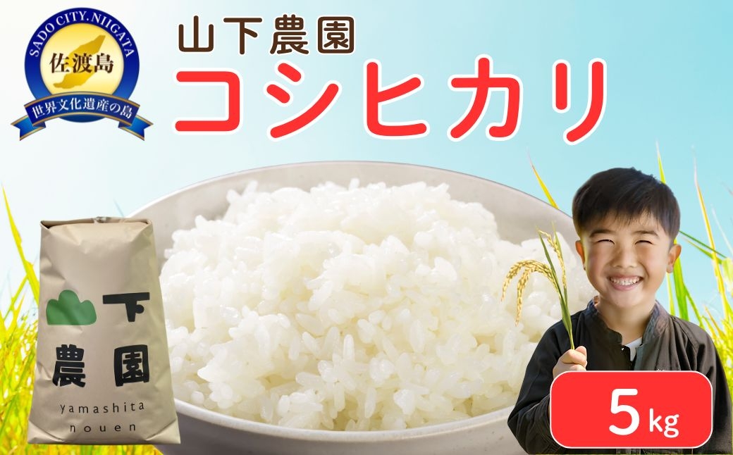 
                  【令和7年産】佐渡産コシヒカリ 精米5kg 小野見集落産 農薬・化学肥料5割減 山下農園 | 新潟県産コシヒカリ 新潟産コシヒカリ 佐渡産コシヒカリ 新潟県産こしひかり 佐渡産こしひかり 小野見 お米 米 こしひかり 白米 精米 おこめ コメ 5キロ 農家直送 にいがた さど 新潟県 佐渡市
                