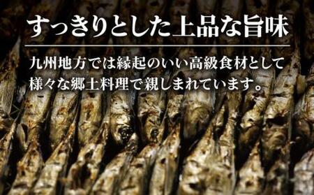 焼きあご 100g×12袋[RBC004] だし 出汁 あごだし だし 出汁 あごだし だし 出汁 あごだし だし 出汁 あごだし だし 出汁 あごだし だし 出汁 あごだし九州 長崎