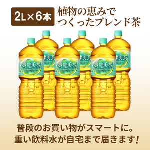 『定期便：全6回』爽健美茶2000mlPET×6本【38000901】