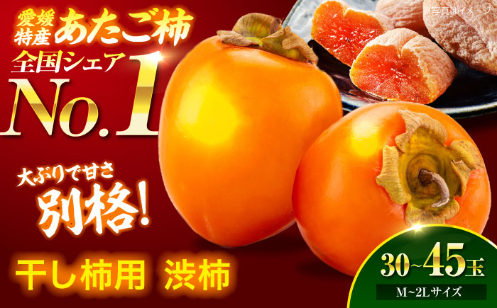 【先行予約】【11月上旬より順次発送】手作り干し柿用 渋柿 あたご柿 M~2L 10kg(約30玉〜45玉)　愛媛県大洲市/沢井青果有限会社 [AGBN022]秋 フルーツ 果物 柿ジャム かき 柿レシピ デザート スイーツ 新鮮 くだもの