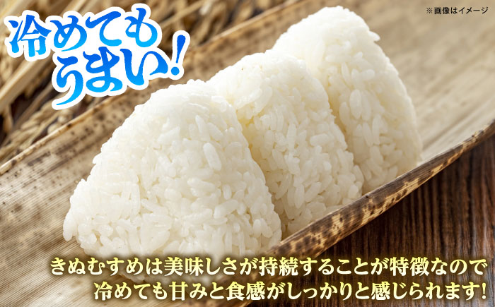 【新米】雲南市産きぬむすめ 10kg（5kg×2袋） 島根県雲南市/有限会社藤本米穀店 ｜食味ランキング 特A 白米 精米 コメ 10キロ [AIDB100]