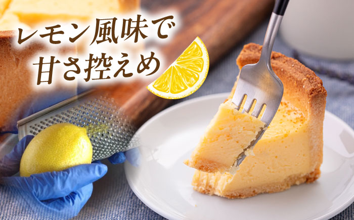 チーズケーキ 4号（12cm) 2～3人分【日本水産観光株式会社】 [AKBR007]