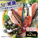 【ふるさと納税】旬の地魚セット（エラ・内臓処理済）鮮魚 魚介 刺身 さかな 五島市 / 五島FF [PBJ010]