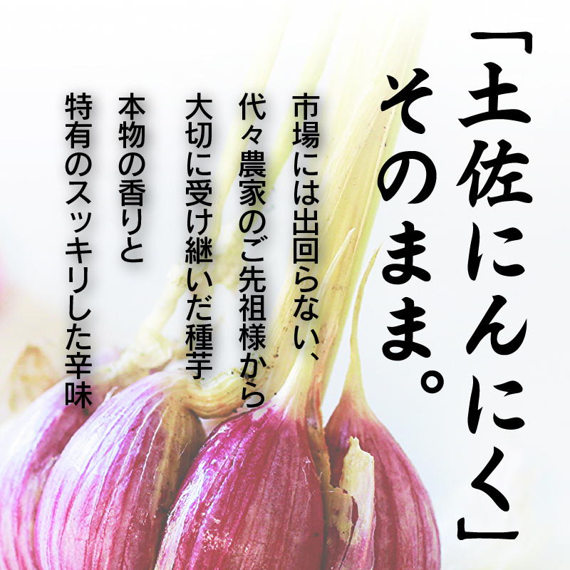 土佐にんにくそろえ にんにく塩 にんにくつぶ セット | ニンニク 簡単調理 万能 調味料 スパイス パウダー ガーリック 国産 天日 塩 人気 粉末 ギフト 贈答用 長期保存  南国市
