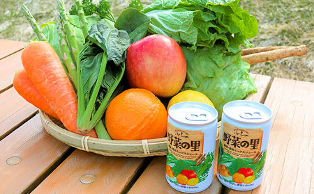 【ふるなびWEEK対象】ふらの 野菜の里 160g×30本入　野菜 果物 ミックスジュース (FN-Limited ジュース 野菜ジュース 飲み物 缶 北海道 送料無料 道産 富良野市 ふらの)