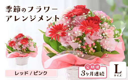 定期便 ≪3ヶ月連続お届け≫ 季節のフラワーアレンジメント L (レッド・ピンク) 花束 生花 プレゼント [E-20705_01]