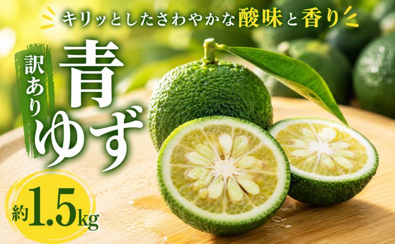 
                  青ゆず 訳あり規格外品 約1.5kg ゆず 柚子 柑橘 数量限定 期間限定 ユズ 青柚子 高知県 果皮 果汁 薬味 料理 飲料 柚子胡椒 魚料理 麺類 夏 ビタミン 8月 9月 収穫 香り 旬 フルーツ 果物 酸味 爽やか 季節限定 キズあり 日焼け トゲ傷 打ち身 色抜け 千光士農園 安芸市 高知県
                