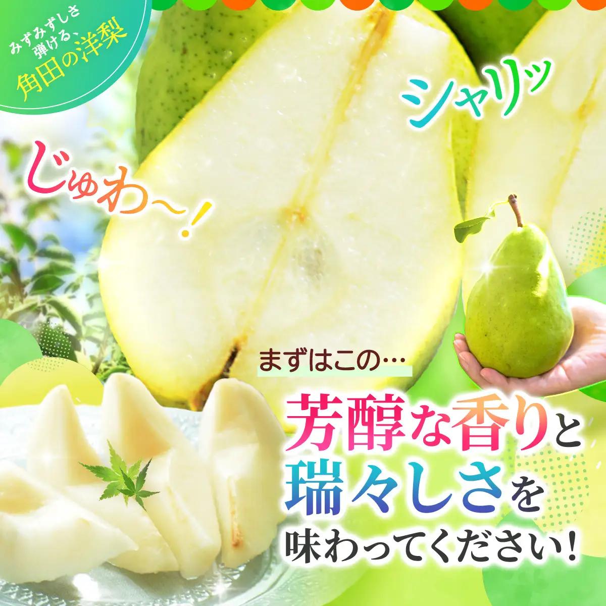 【2026年発送／先行予約】【松崎果樹園】品種おまかせ 旬のりんごと洋梨詰合せ 約5kg ｜ 洋梨