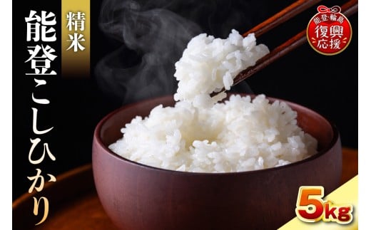【2026年3月発送】令和7年産　能登コシヒカリ5kg　精米　残留農薬ゼロ