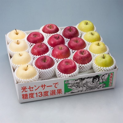 令和7年産先行予約・糖度13度選果 サンふじ＆王林＆金星 りんご3種約4.3kg鮮度保持剤・保存袋付【配送不可地域：離島・沖縄県】