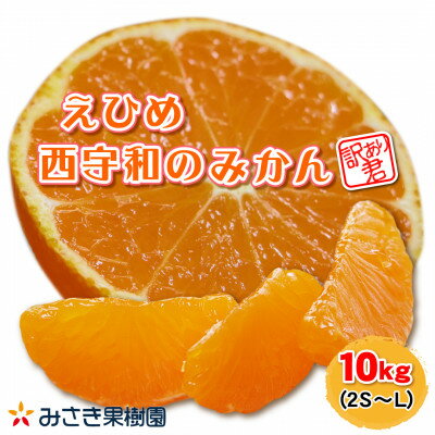 【ふるさと納税】【訳あり君】みさき果樹園のえひめ西宇和のみかん　10kg　2S～L混合【C21-17】【1455356】