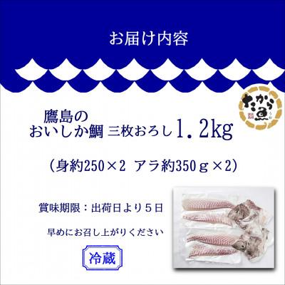 ふるさと納税 松浦市 鷹島のおいしかタイ(1.2kg) |  | 03