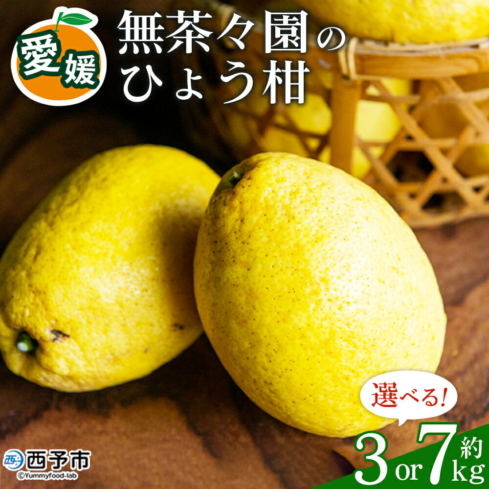 【ふるさと納税】＜無茶々園のひょう柑 約3kg／7kg＞ 果物 みかん くだもの ミカン 蜜柑 柑橘類 フルーツ 選べる内容量 ひょうかん ヒョウカン 弓削瓢柑 旬 期間限定 数量限定 特産品 愛媛県 西予市【常温】『2026年4月上旬～5月上旬迄に順次出荷予定』