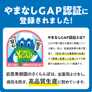 さくらんぼ 2L～3L 【先行予約】 約500g 毎日農業記録賞 全国最優秀賞 受賞 完熟大玉バラ 紅秀峰 佐藤錦 やまなしGAP認証 フルーツ グランプリ ※2025年6月中旬以降順次発送 岩原果樹