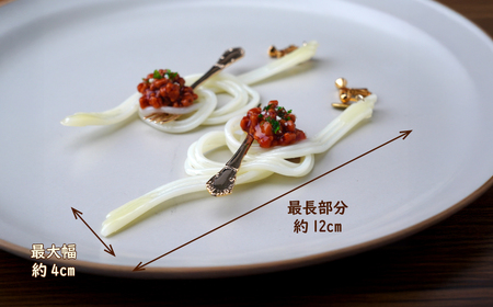 食品サンプル 飾り結びみたいなボロネーゼのピアス | ピアス イヤリング 食品サンプル 畑中 埼玉県 所沢市