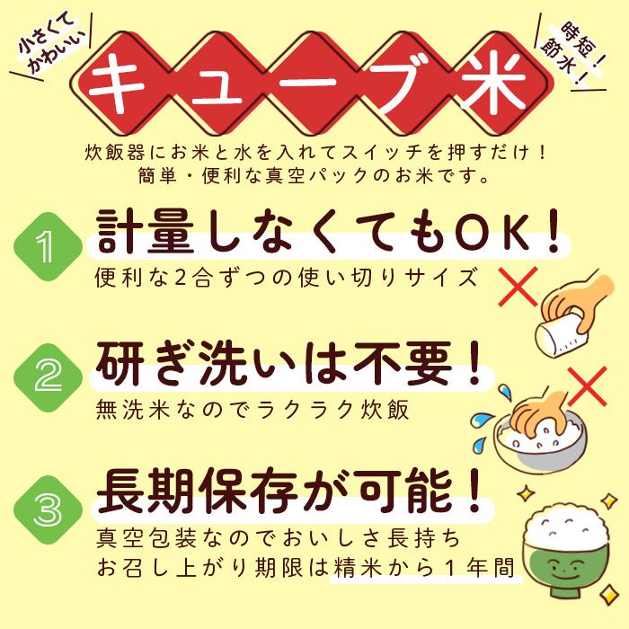 山形産 無洗米キューブ米つや姫300g×60個 FY18-459