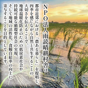 12月以降順次配送 玄米餅 64個 個包装 発芽玄米 餅