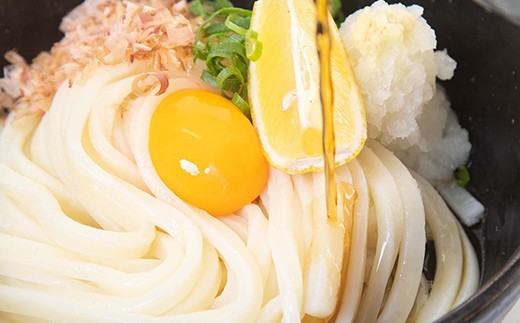 二段熟成半生さぬきうどん60人前 300g×20袋 FAH-0100