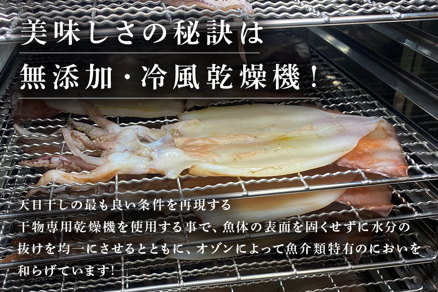 「海人(漁師)のまち」沖縄県産イカのふっくらソフト干物５枚セット