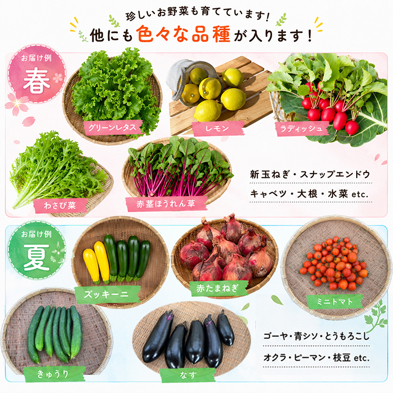 野菜 定期便 12回 詰め合わせ 10種 よしむら農園 オーガニック 有機 有機野菜 やさい ベジタブル おまかせ セット 一人暮らし おすすめ レタス とうもろこし トマト 有機栽培 JAS 栄養 