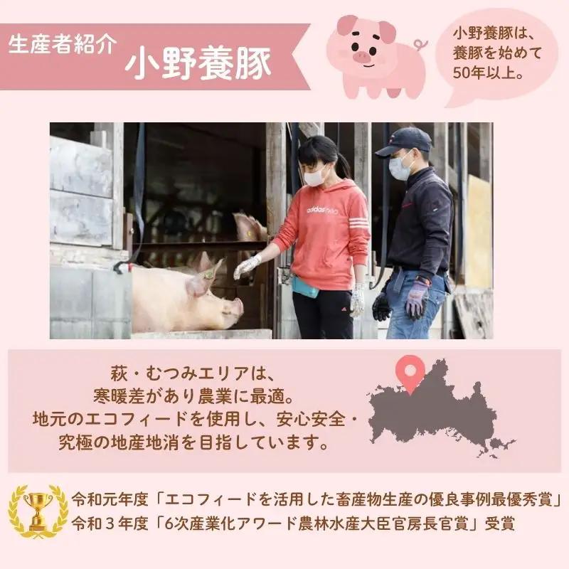 萩むつみ豚 豚まん・お肉手土産セット（保冷バッグ付）