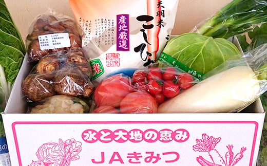 【定期便６ヶ月】野菜詰め合わせ＆天羽米コシヒカリ５kg