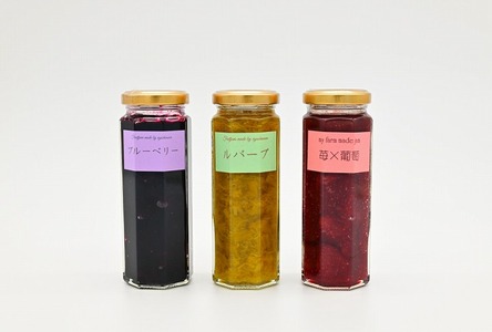 江口農園　果実ぎっしりジャム　3本セットB