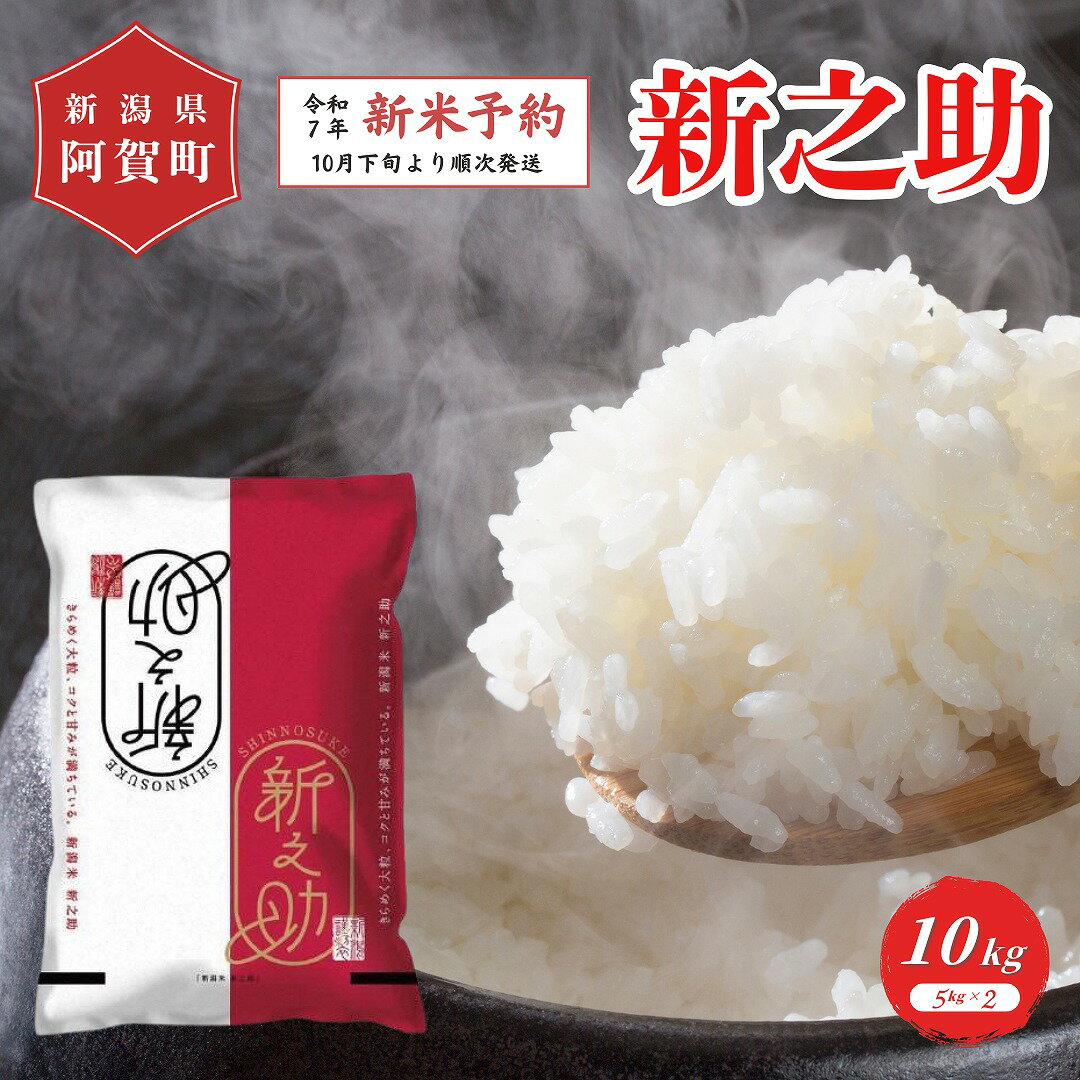 【ふるさと納税】 《新米予約》 米 10kg 新潟県産 「津川産 新之助」 令和7年産 5kg × 2袋 | 白米 精米 しんのすけ 送料無料 お取り寄せ お米 ※2025年10月下旬頃より順次発送