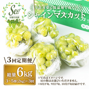 ＜定期便・全3回(連続)＞シャインマスカット(総量6kg・2kg×3回)フルーツ 果物 葡萄 ぶどう 安心院 人気 ランキング＜先行予約受付中！2026年8月下旬より順次発送予定＞＜北海道 沖縄 離島