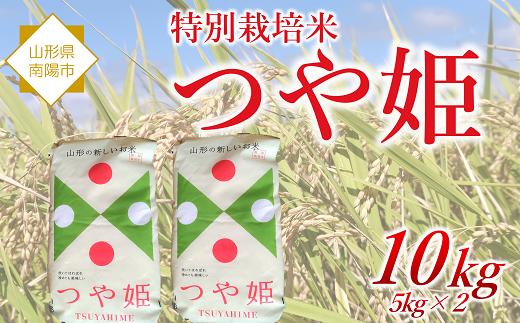 特別栽培米 つや姫 10kg 『松田観光果樹園』 山形南陽産 米 白米 ご飯 農家直送 山形県 南陽市 [2289]