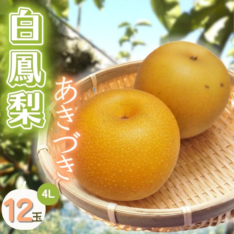 【ふるさと納税】梨 あきづき《三重の白鳳梨》【季節限定】白鳳梨(あきづき) 4L 12玉 ※お届けは9月上旬から9月中旬頃の予定です/「強い甘みとシャキッとした食感」あきづき あきづき梨 梨 なし 果物 フルーツ 旬 秋の味覚 新鮮 ブランド梨 白鳳梨 伊賀産 三重県伊賀市