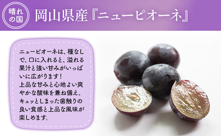 【2026年先行予約】 【特撰】ぶどう 岡山県産 ニューピオーネ （ 種無し ）約1kg（2房）  《2026年8月下旬-9月中旬頃出荷》 葡萄 ブドウ フルーツ 果物 スイーツ 数量限定 期間限定 